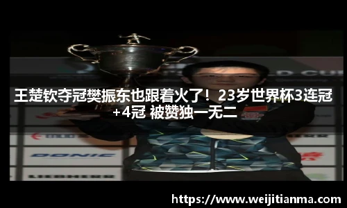 王楚钦夺冠樊振东也跟着火了！23岁世界杯3连冠+4冠 被赞独一无二